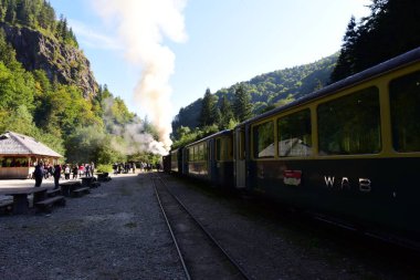 Yukarıdaki Viseu 'dan Mocanita, Maramures, Romania ülkenin en önemli kültürel ve teknik değerlerinden biri, yukarıdaki Viseu' dan Mocanita, buharlı lokomotifli son orman demiryolu.