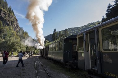 Yukarıdaki Viseu 'dan Mocanita, Maramures, Romania ülkenin en önemli kültürel ve teknik değerlerinden biri, yukarıdaki Viseu' dan Mocanita, buharlı lokomotifli son orman demiryolu.