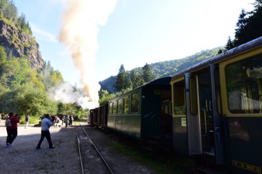Yukarıdaki Viseu 'dan Mocanita, Maramures, Romania ülkenin en önemli kültürel ve teknik değerlerinden biri, yukarıdaki Viseu' dan Mocanita, buharlı lokomotifli son orman demiryolu.