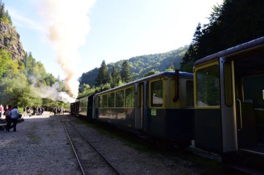 Yukarıdaki Viseu 'dan Mocanita, Maramures, Romania ülkenin en önemli kültürel ve teknik değerlerinden biri, yukarıdaki Viseu' dan Mocanita, buharlı lokomotifli son orman demiryolu.