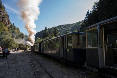Yukarıdaki Viseu 'dan Mocanita, Maramures, Romania ülkenin en önemli kültürel ve teknik değerlerinden biri, yukarıdaki Viseu' dan Mocanita, buharlı lokomotifli son orman demiryolu.