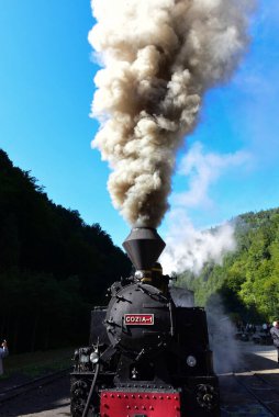 Yukarıdaki Viseu 'dan Mocanita, Maramures, Romania ülkenin en önemli kültürel ve teknik değerlerinden biri, yukarıdaki Viseu' dan Mocanita, buharlı lokomotifli son orman demiryolu.