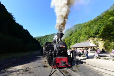 Yukarıdaki Viseu 'dan Mocanita, Maramures, Romanya. Ülkenin en önemli kültürel ve teknik değerlerinden biri, yukarıdaki Viseu 'dan Mocanita, buharlı lokomotifli son orman demiryoludur.