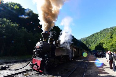 Yukarıdaki Viseu 'dan Mocanita, Maramures, Romania ülkenin en önemli kültürel ve teknik değerlerinden biri, yukarıdaki Viseu' dan Mocanita, buharlı lokomotifi olan son orman demiryoludur.