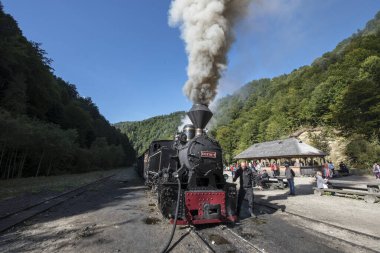 Yukarıdaki Viseu 'dan Mocanita, Maramures, Romania ülkenin en önemli kültürel ve teknik değerlerinden biri, yukarıdaki Viseu' dan Mocanita, buharlı lokomotifi olan son orman demiryoludur.