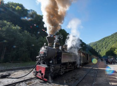 Yukarıdaki Viseu 'dan Mocanita, Maramures, Romania ülkenin en önemli kültürel ve teknik değerlerinden biri, yukarıdaki Viseu' dan Mocanita, buharlı lokomotifi olan son orman demiryoludur.