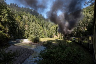 Yukarıdaki Viseu 'dan Mocanita, Maramures, Romanya. Ülkenin en önemli kültürel ve teknik değerlerinden biri, yukarıdaki Viseu 'dan Mocanita, buharlı lokomotifli son orman demiryoludur.