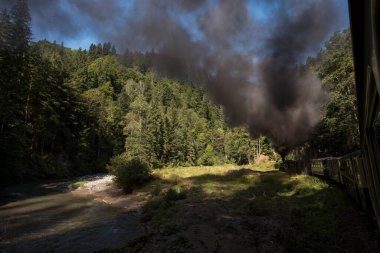 Yukarıdaki Viseu 'dan Mocanita, Maramures, Romanya. Ülkenin en önemli kültürel ve teknik değerlerinden biri, yukarıdaki Viseu 'dan Mocanita, buharlı lokomotifli son orman demiryoludur.