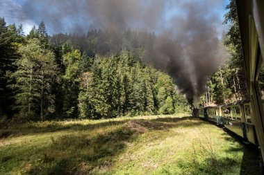 Yukarıdaki Viseu 'dan Mocanita, Maramures, Romanya. Ülkenin en önemli kültürel ve teknik değerlerinden biri, yukarıdaki Viseu 'dan Mocanita, buharlı lokomotifli son orman demiryoludur.