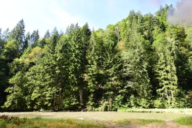 Vaserului Vadisi, Maramure 'nin dağ içi bunalımında, Viseu' yu yukarıdan Karpatya Dağları 'na götürür. 2000 yılından beri Vaser Vadisi' nde turistler için düzenli buhar trenleri bulunmaktadır..
