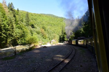 Vaserului Vadisi, Maramure 'nin dağ içi bunalımında, Viseu' yu yukarıdan Karpatya Dağları 'na götürür. 2000 yılından beri Vaser Vadisi' nde turistler için düzenli buhar trenleri bulunmaktadır..