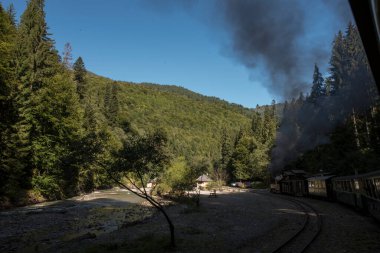 Vaserului Vadisi, Maramure 'nin dağ içi bunalımında, Viseu' yu yukarıdan Karpatya Dağları 'na götürür. 2000 yılından beri Vaser Vadisi' nde turistler için düzenli buhar trenleri bulunmaktadır..