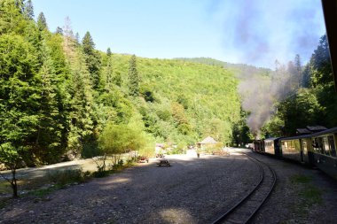 Vaserului Vadisi, Maramure 'nin dağ içi bunalımında, Viseu' yu yukarıdan Karpatya Dağları 'na götürür. 2000 yılından beri Vaser Vadisi' nde turistler için düzenli buhar trenleri bulunmaktadır..