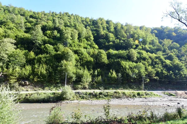 Maramure 산골짜기에 Vaserului Valley Viseu 위에서 Carpathian Mountainers 이끌었다 — 스톡 사진