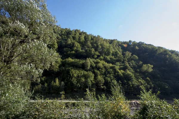 Vaserului Údolí Nachází Intramountain Deprese Maramure Vede Viseu Shora Karpat — Stock fotografie