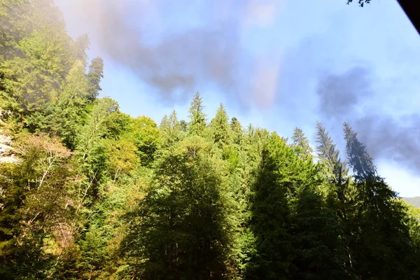 Vaserului Valley Situé Dans Dépression Intra Montagneuse Maramure Conduit Viseu — Photo