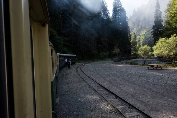 Vaserului Údolí Nachází Intramountain Deprese Maramure Vede Viseu Shora Karpat — Stock fotografie