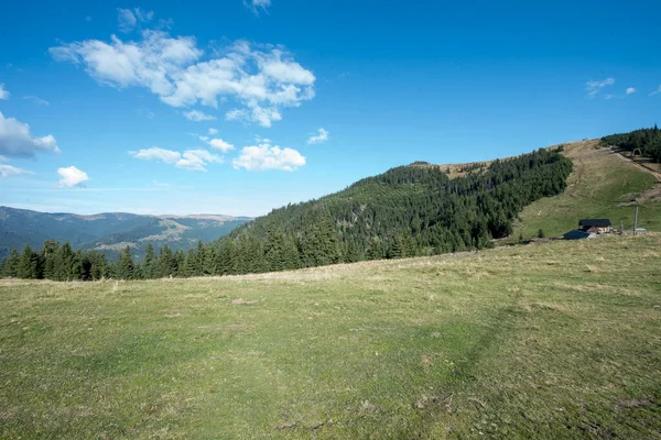 Національний Парк Родна Англ Rodna Mountains National Park Природний Парк — стокове фото