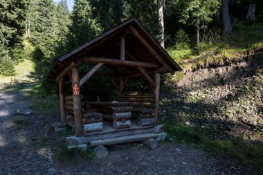 Rodna Dağları Ulusal Parkı, Romanya 'nın kuzeyinde, Bistria-Nsud ve Maramure bölgelerinde yer alan ve kayalar, ormanlar, boşluklar ve alp yaylarından oluşan doğal bir alandır.