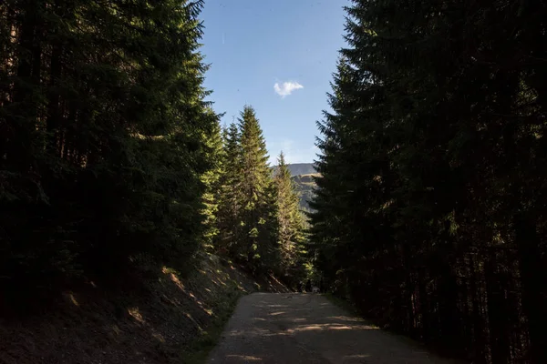 Der Nationalpark Rodna Gebirge Ist Ein Naturgebiet Norden Rumäniens Auf — Stockfoto