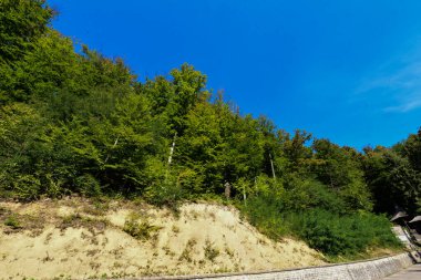 Üzüm bağının tepesi, Rohia, bugünün yeri Aziz Ana Manastırı, Rohia, Rahip Nicolae Gherman tarafından kuruldu.