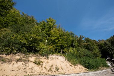 Üzüm bağının tepesi, Rohia, bugünün yeri Aziz Ana Manastırı, Rohia, Rahip Nicolae Gherman tarafından kuruldu.