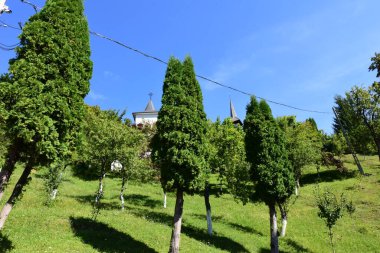 Saint Ana Manastırı, Rohia, Maramures, Romanya, 10 yaşında ölen kızı Anua adına manastırı inşa eden rahip Nicolae Gherman tarafından Lpuului 'de kurulan bir Ortodoks ibadethanesidir.