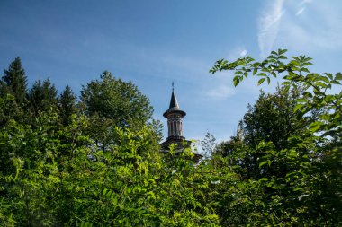 Aziz Ana Manastırı, Rohia, Papaz Nicolae Gherman tarafından kurulmuş Lpuului kırsalında bulunan bir Ortodoks ibadethane. 