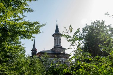 Saint Ana Manastırı, Rohia, 10 yaşında ölen kızı Anua adına manastırı inşa eden rahip Nicolae Gherman tarafından Lpuului 'de bulunan bir Ortodoks ibadethanesidir.