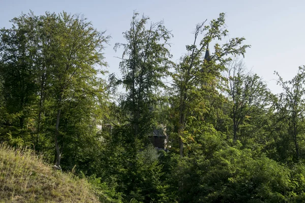 Der Hügel Des Weinbergs Rohia Sich Heute Das Vom Priester — Stockfoto