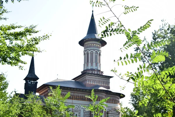 Saint Ana Kloster Rohia Ortodoks Sted Tilbedelse Beliggende Landet Lpuului - Stock-foto