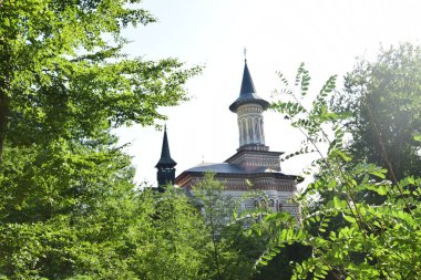 Saint Ana Manastırı, Rohia, 10 yaşında ölen kızı Anua adına manastırı inşa eden rahip Nicolae Gherman tarafından Lpuului 'de bulunan bir Ortodoks ibadethanesidir.