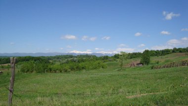 Ağaçlarla kaplı güzel bir manzara.
