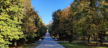 Şehirdeki sonbahar parkı