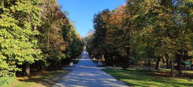 Ağaçlar ve yapraklarla dolu güzel bir sonbahar parkı