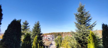 Parkın güzel manzarası