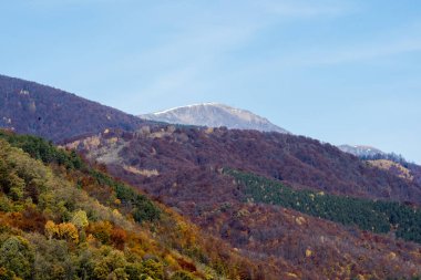 Sokakta Noel ağacı süslemesi