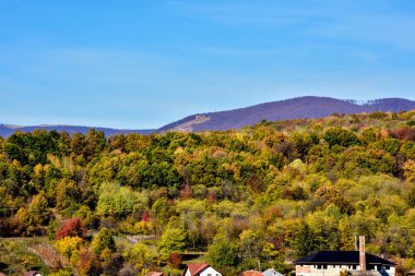 Sokakta Noel ağacı süslemesi
