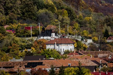 Sokakta Noel ağacı süslemesi