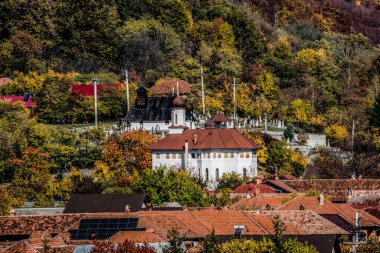 Sokakta Noel ağacı süslemesi