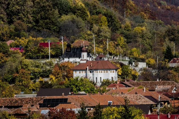 Sokakta Noel ağacı süslemesi