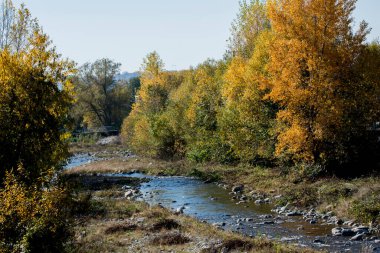 Ağaçlı nehir ve sonbahar yapraklı