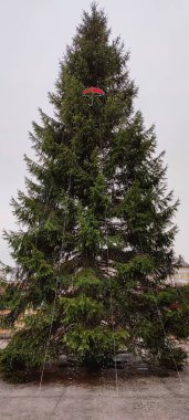 Sokakta Noel ağacı süslemesi