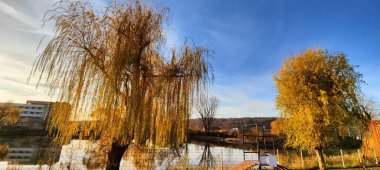 Ağaçlar ve yapraklarla dolu güzel sonbahar manzarası