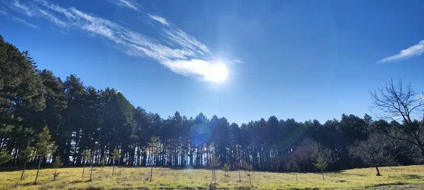 Nehir ve mavi gökyüzü olan güzel bir manzara.