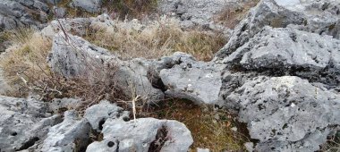 Doğanın güzel manzarası