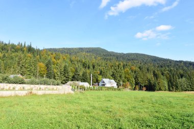 Karpatların dağlarında sonbahar manzarası