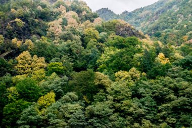 Dağların güzel manzarası