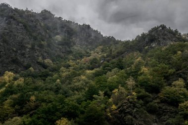Dağları ve ormanı olan güzel bir manzara.