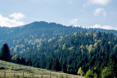Karpat dağlarında bir dağla sonbahar manzarası